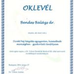 Clinique dentaire Helvetic Clinics
